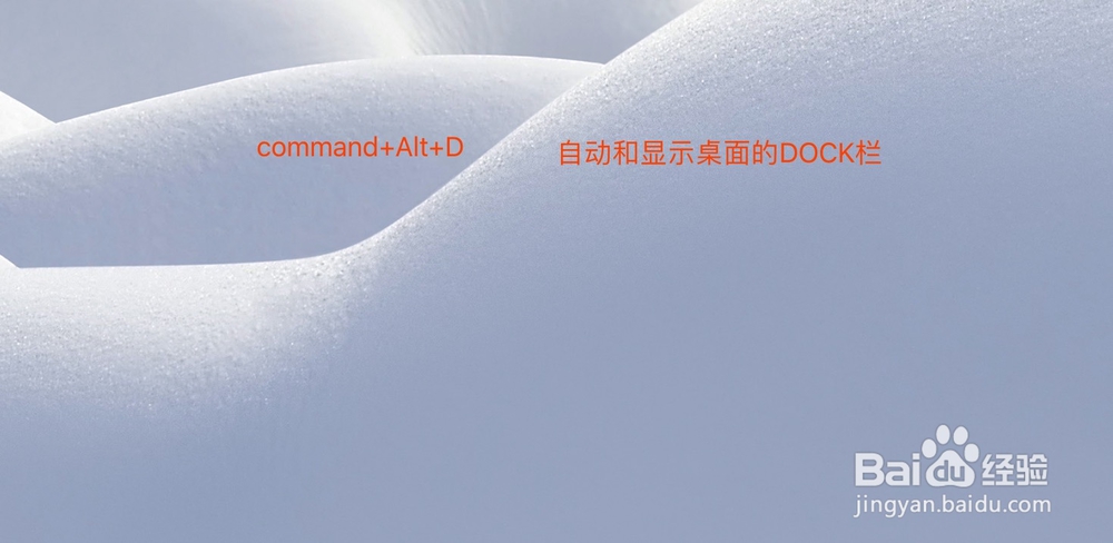 mac电脑的DOCK栏不见了