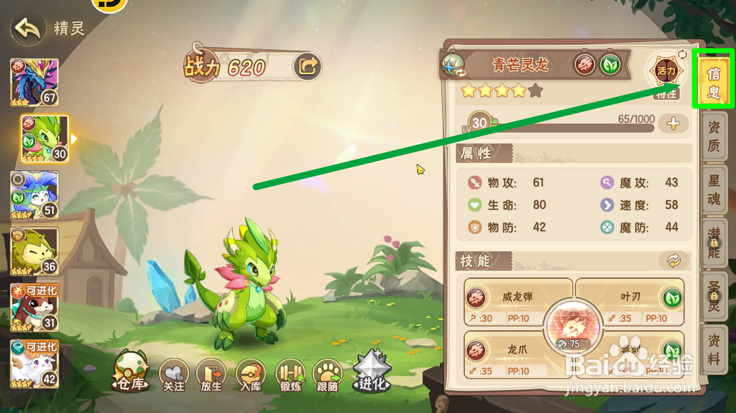 西普大陆怎么查看青芒灵龙【活力】特性?