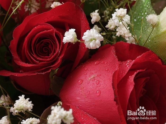 给朋友可以送玫瑰吗