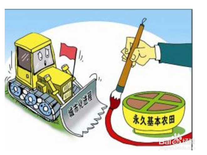 耕地保护政策有哪些？