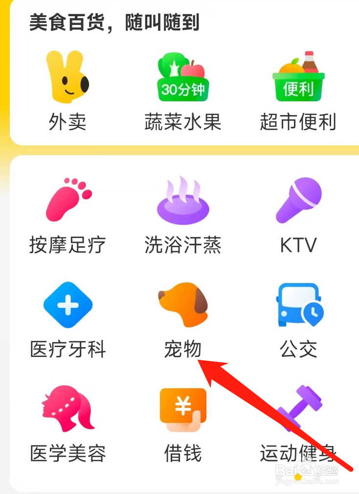 美团怎样查看宠物