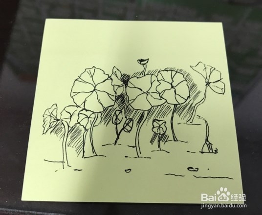 如何绘制莲花的速写呢