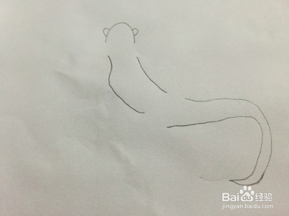 画画——画壁虎