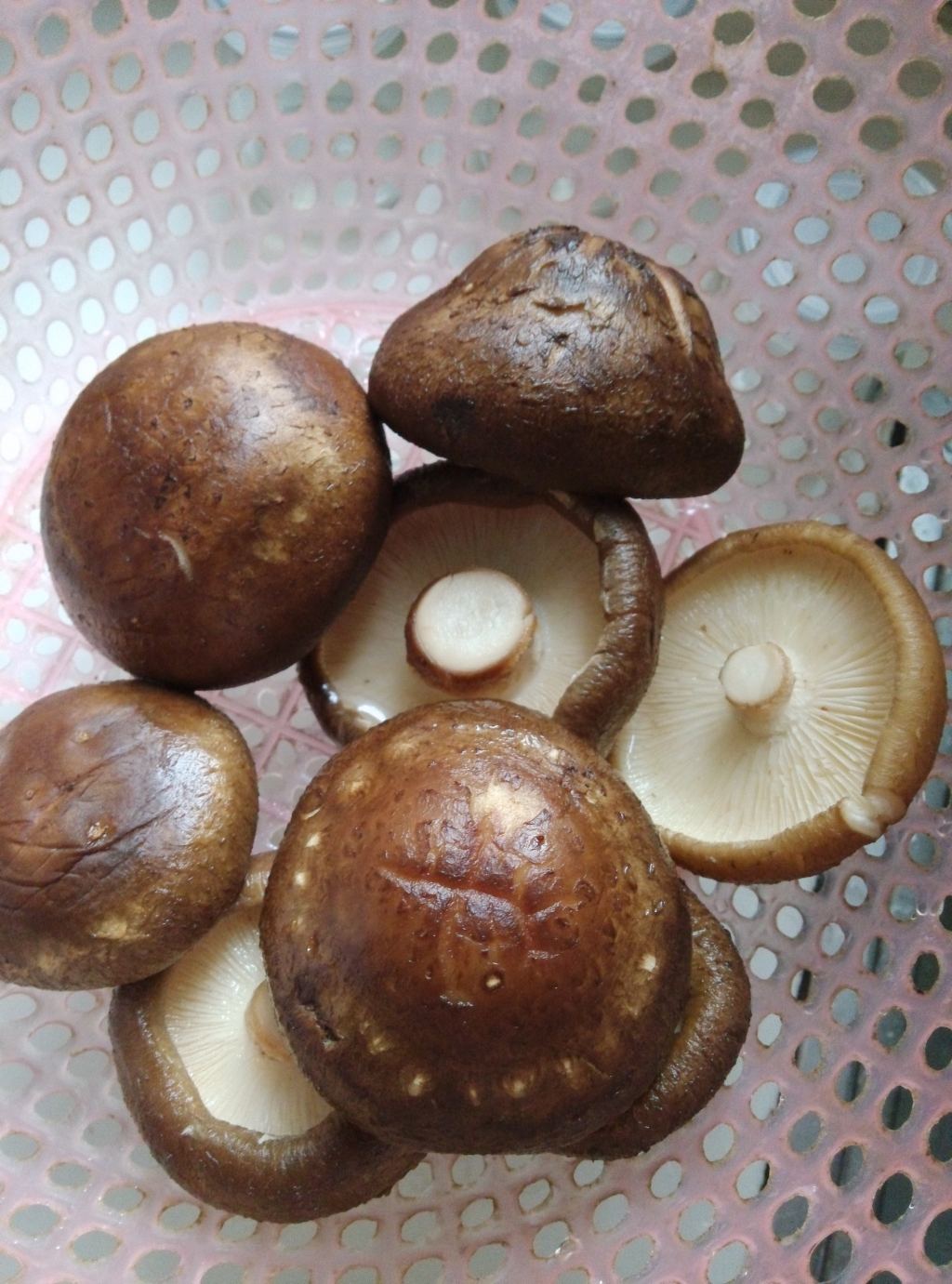 教你快速学会制作山药香菇炖鸡汤