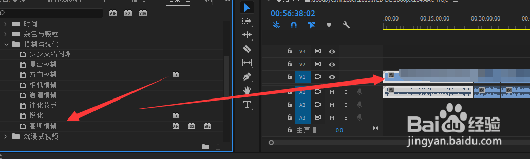 Premiere Pro 2020如何给视频局位马赛克