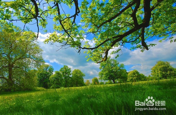 电热水壶不抽水怎么办