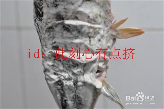 美食篇之糖醋鱼