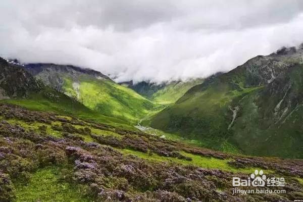 四姑娘山,在所有人事已非的景色里,最喜欢你