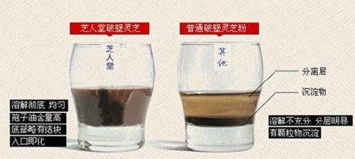 怎样选择灵芝孢子粉品牌