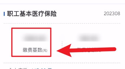 《国家医保服务平台》怎么查看缴费基数