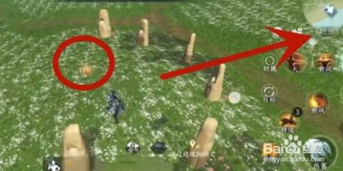 逆水寒手游琥珀花在哪