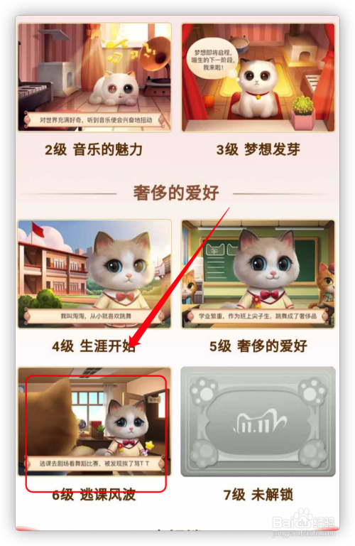 怎么查看超级星秀猫图鉴？