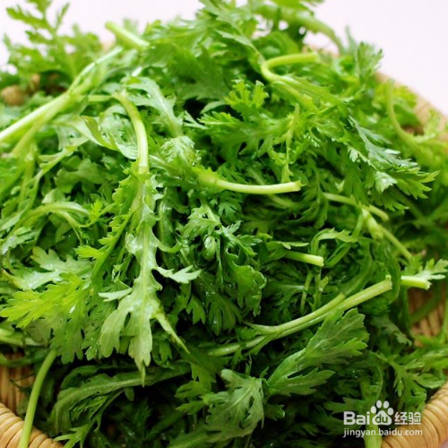 种茼蒿的方法和步骤