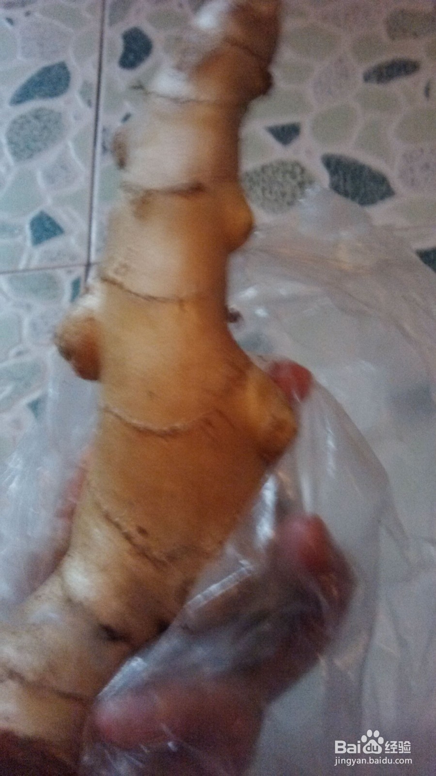 两个人的小日子：[14]青椒炒香煎草鱼