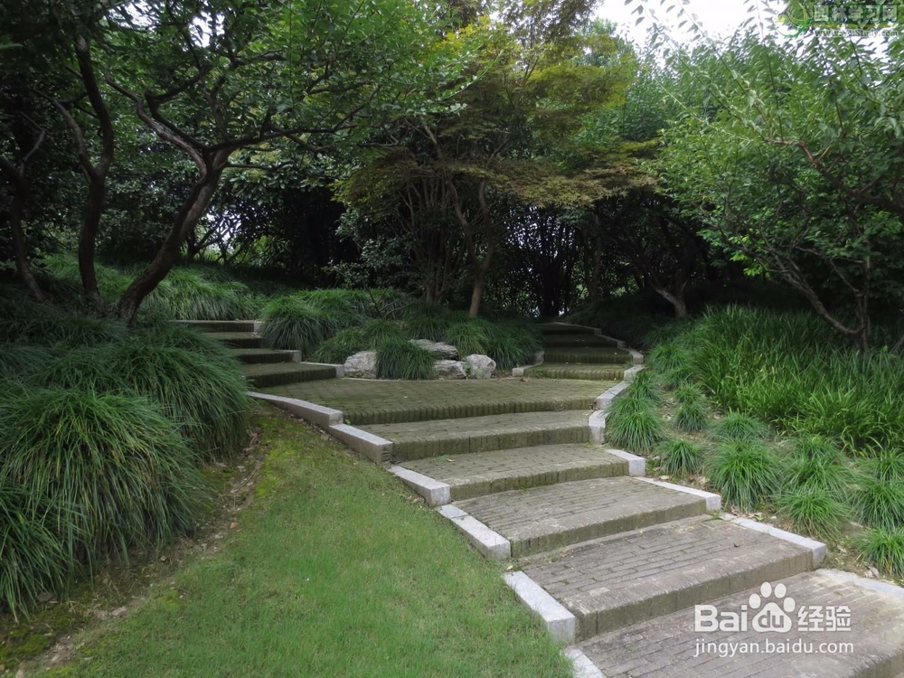 新手买房如何防止被坑,如何买房防止被骗呢?