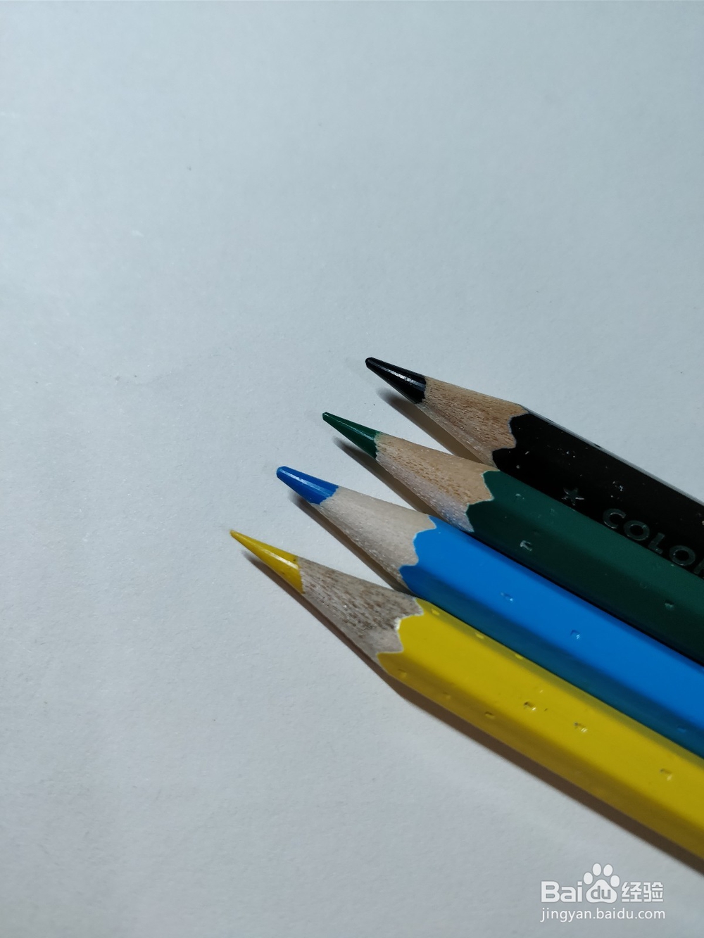 怎么简笔画画和平鸽