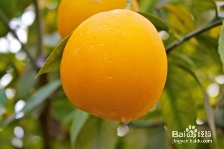 生活中柠檬妙用