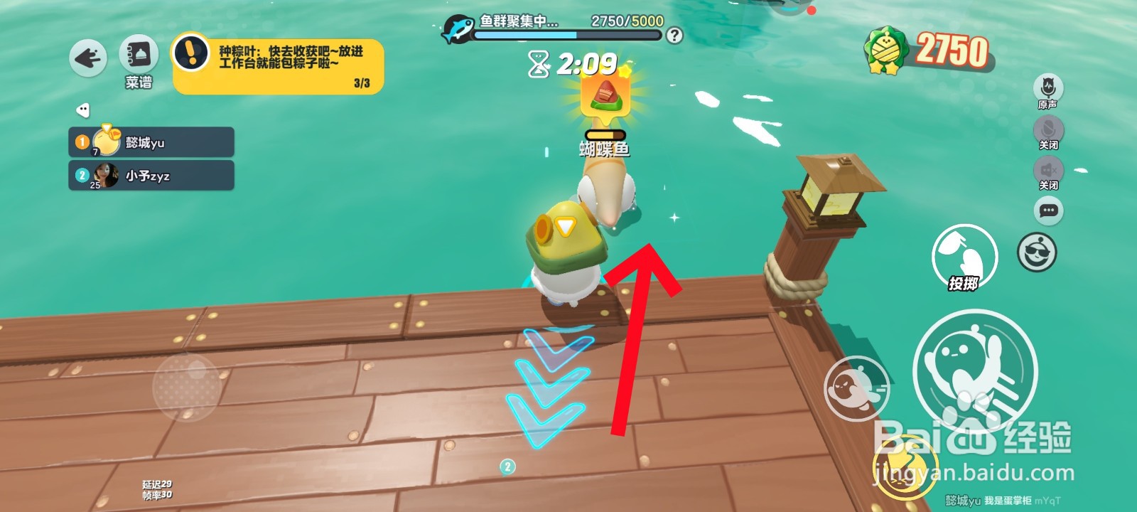 如何将粽子投喂给蝴蝶鱼