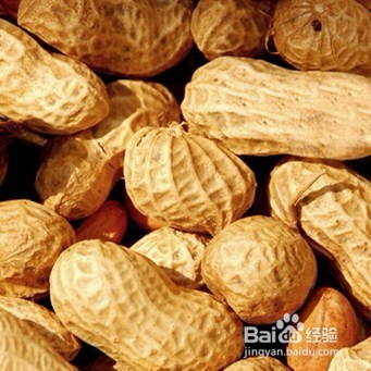 哪些食物能养胃