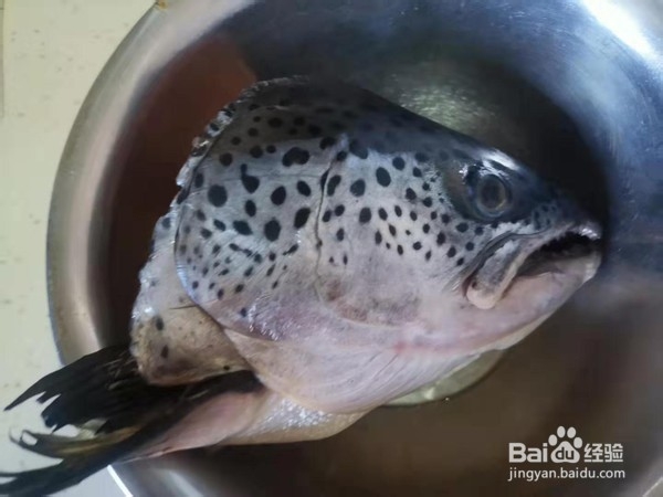 炖三文鱼头的制作方法