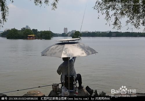 秋冬钓鲫鱼技巧