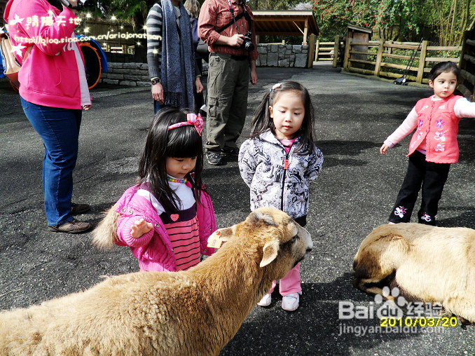 拾海的孩子&亲亲小动物(组图)