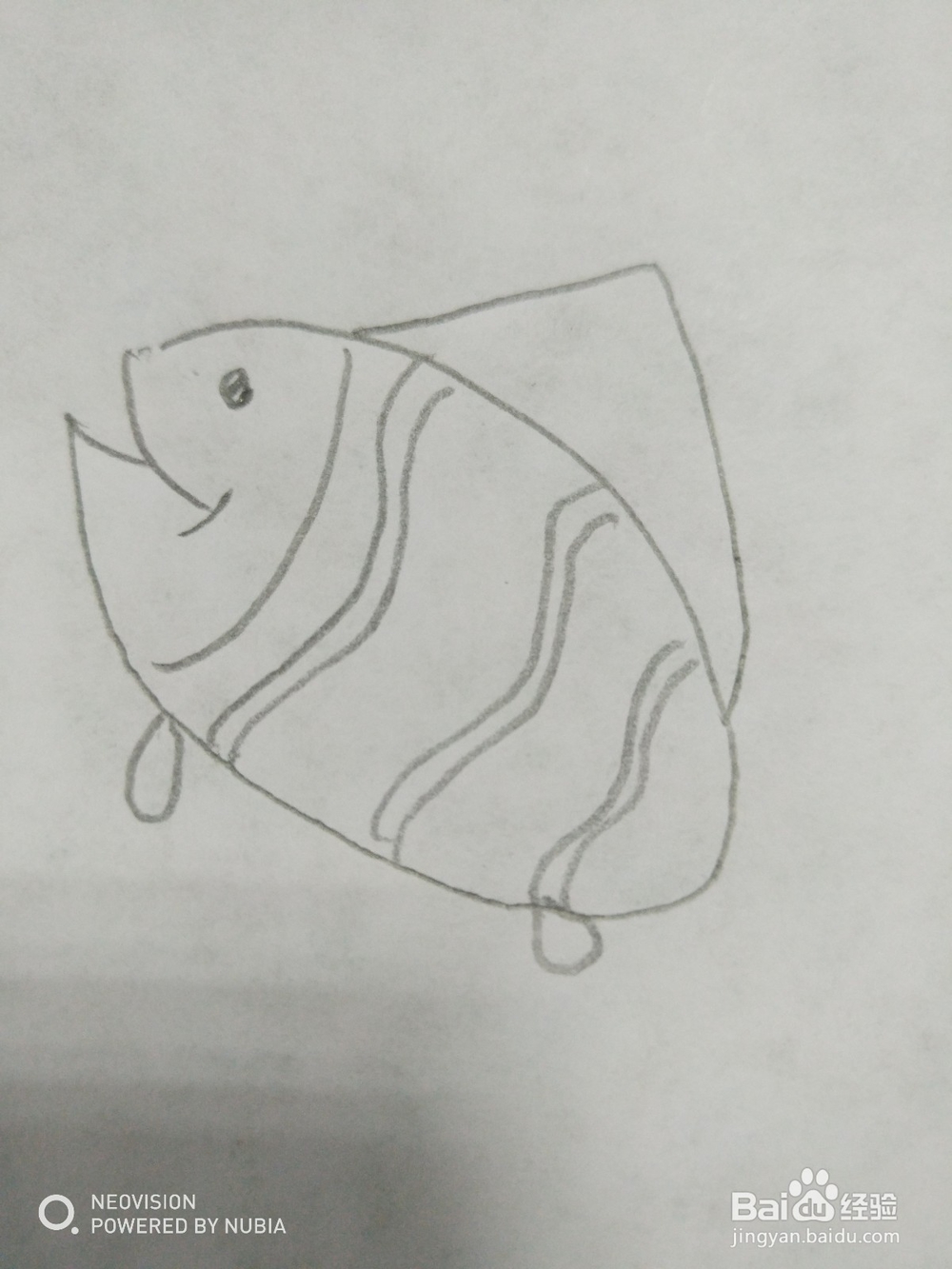 简单的小鱼怎么画（十）