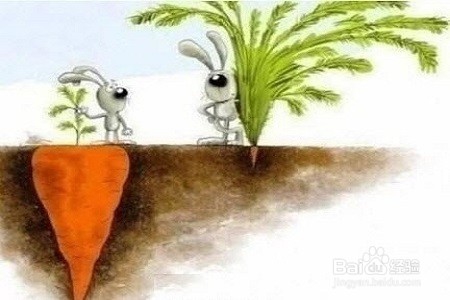 夫妻间哪些话最好少说？