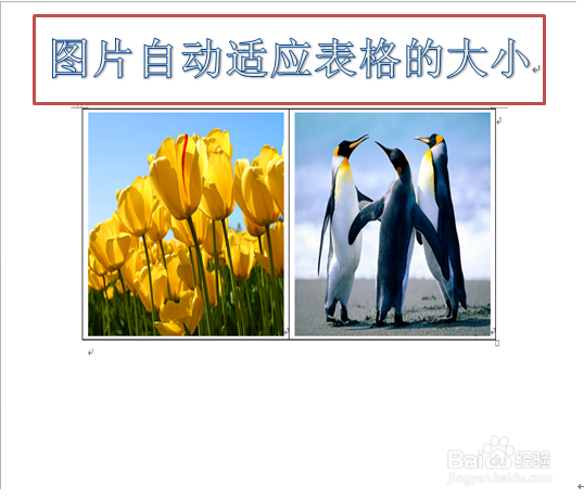 word如何让插入图片不变形