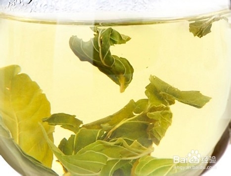 薄荷茶——清清凉凉的味道