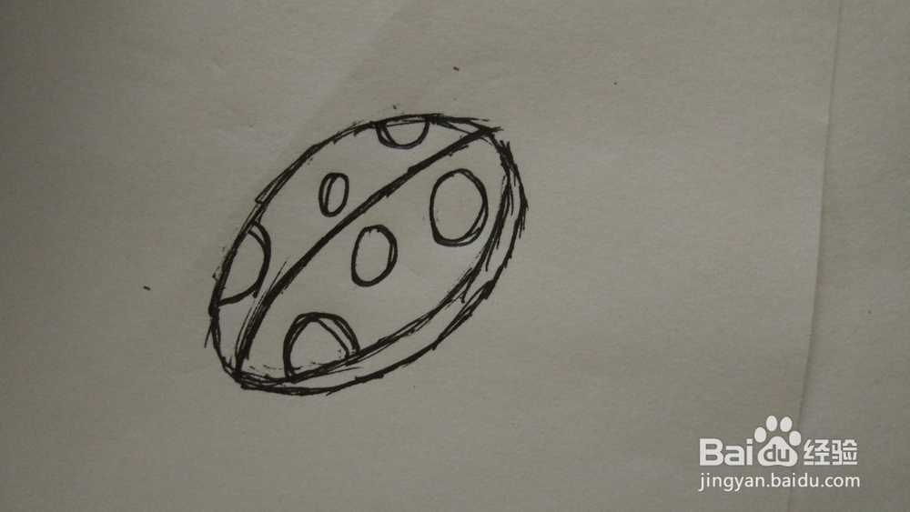 如何简笔画瓢虫