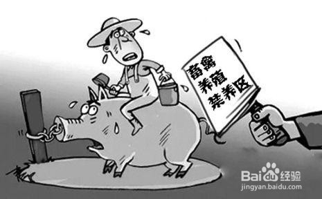 如何改进和加强畜禽养殖污染防治工作