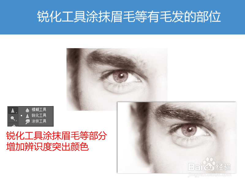 Photoshop如何为黑白图片头像上色增加图片色彩