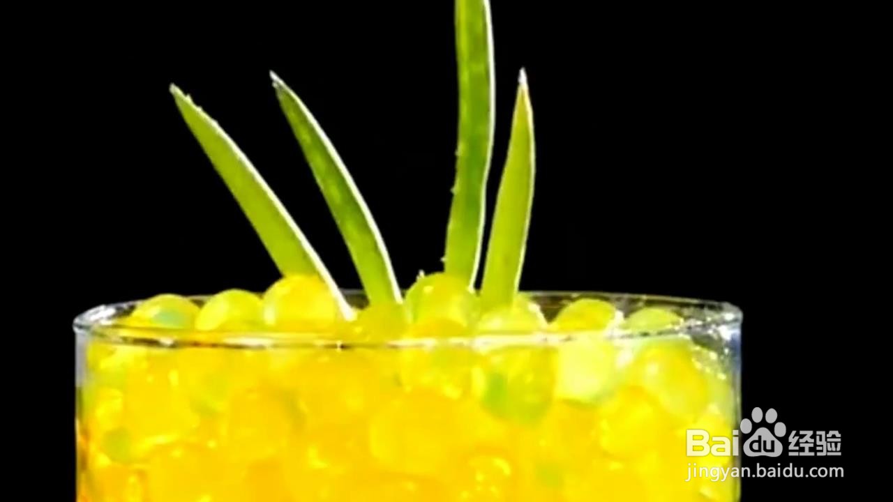 自己在家怎么种植小植物？