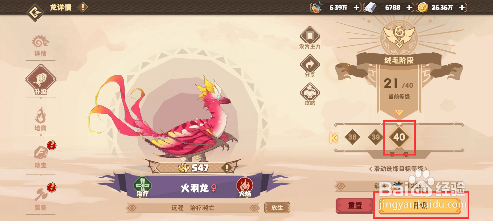 驯龙高手旅程怎么升级火羽龙