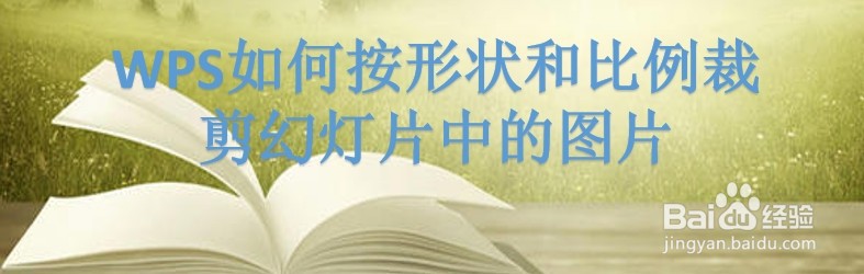 WPS如何按形状和比例裁剪幻灯片中的图片