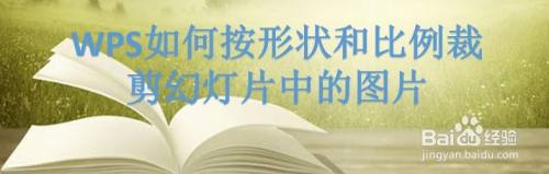 WPS如何按形状和比例裁剪幻灯片中的图片