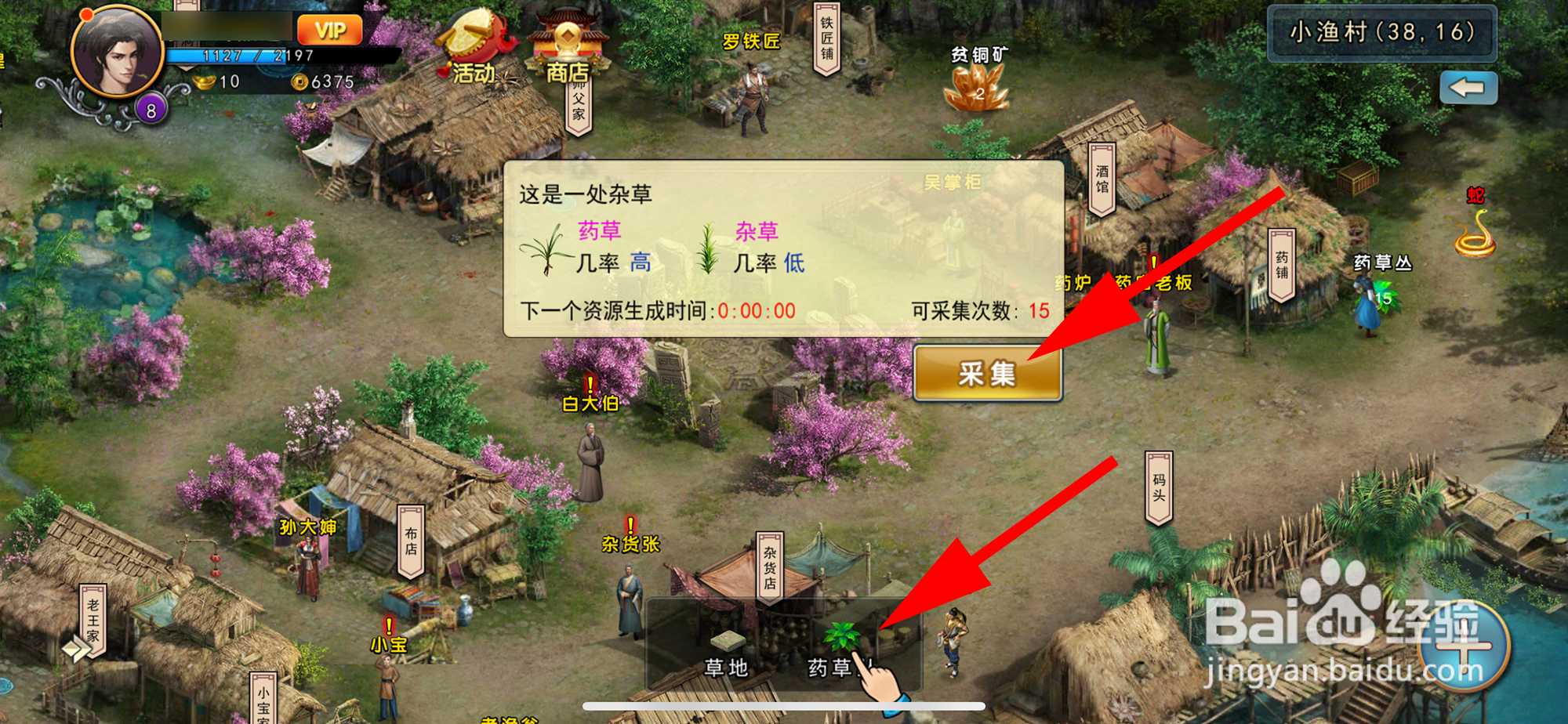 濡沫江湖如何采集药草