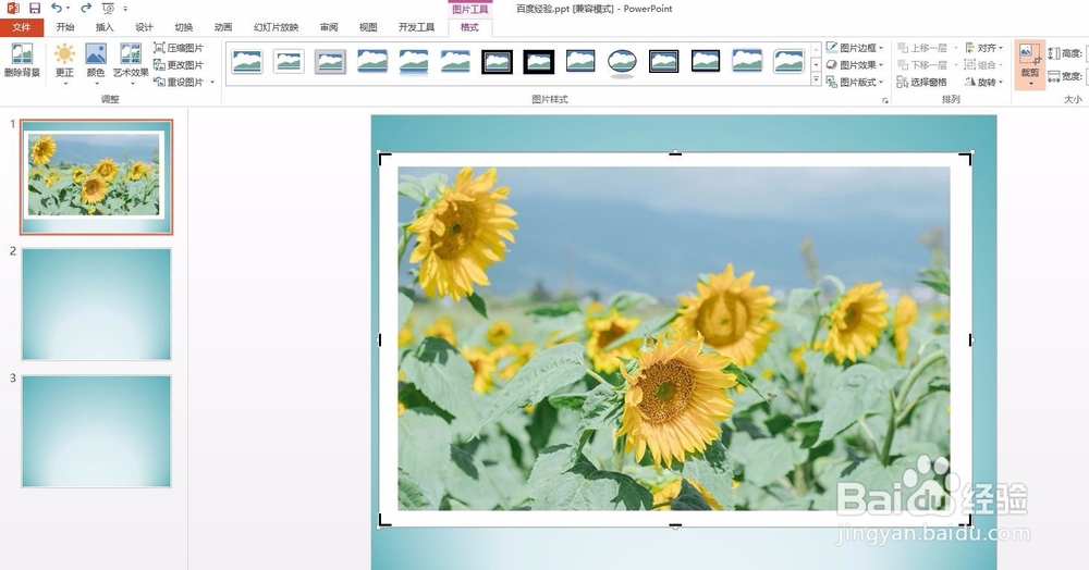 ppt中的图怎么去掉白边