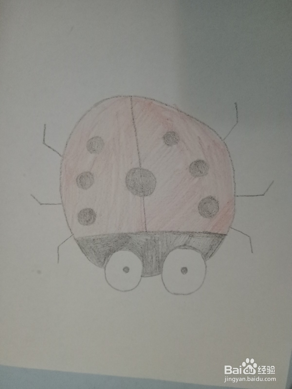 小瓢虫简笔画