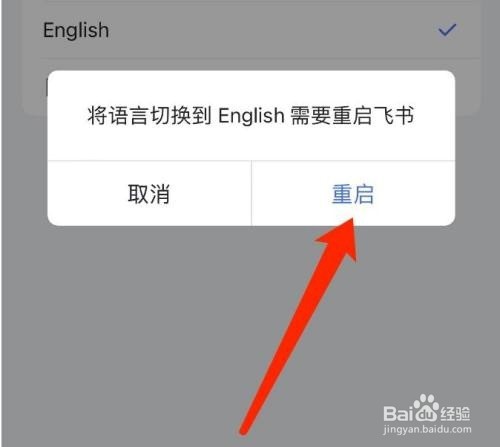 飞书如何切换语言
