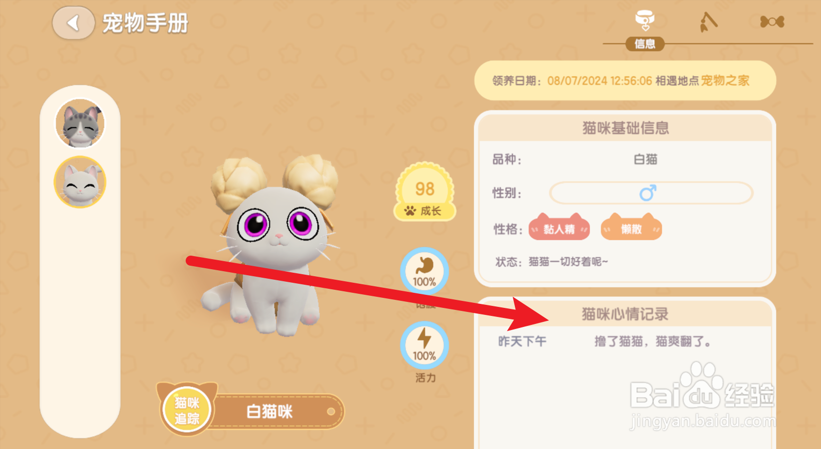 心动小镇怎么查看猫咪的心情记录