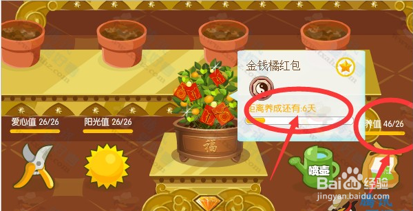 近期会员反映 QQ空间花藤养成过程中枯萎的原因