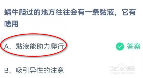 蜗牛爬过的地方往往会有一条黏液它有啥用答案