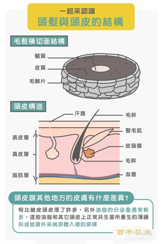 洗头到底是洗头皮还是洗头发