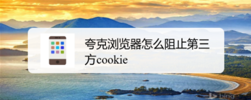 下面就由小編給大家介紹一下夸克瀏覽器怎麼阻止第三方cookie的操作