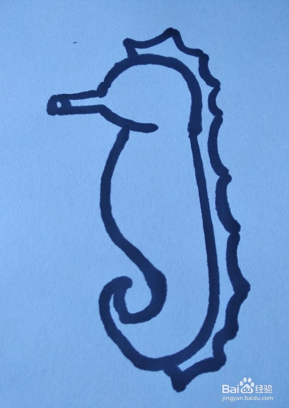 动物简笔画之海马简笔画怎么画