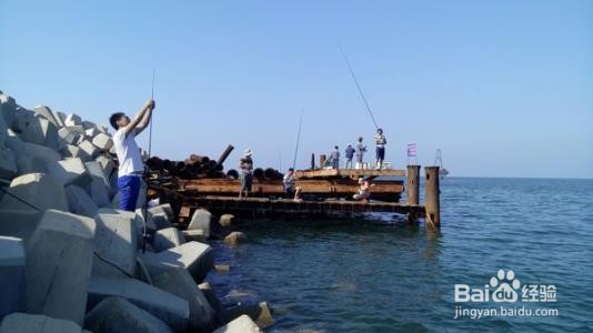 长岛海钓大鱼攻略