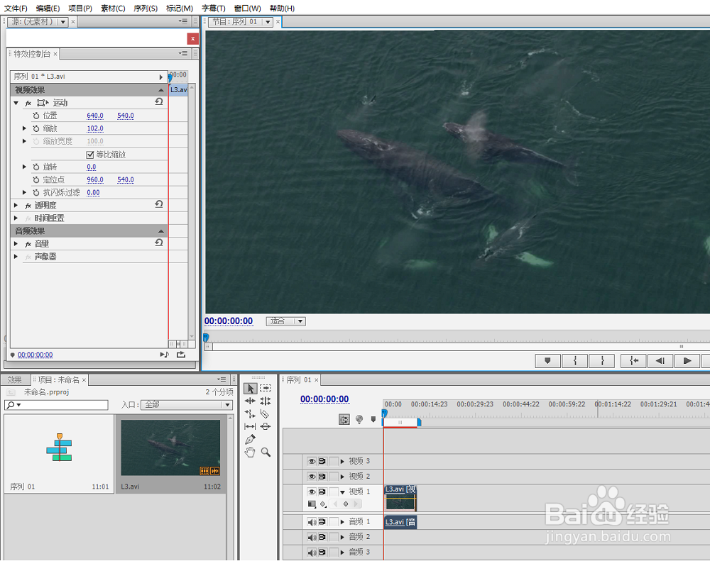 视频调整效果设计实例premiere