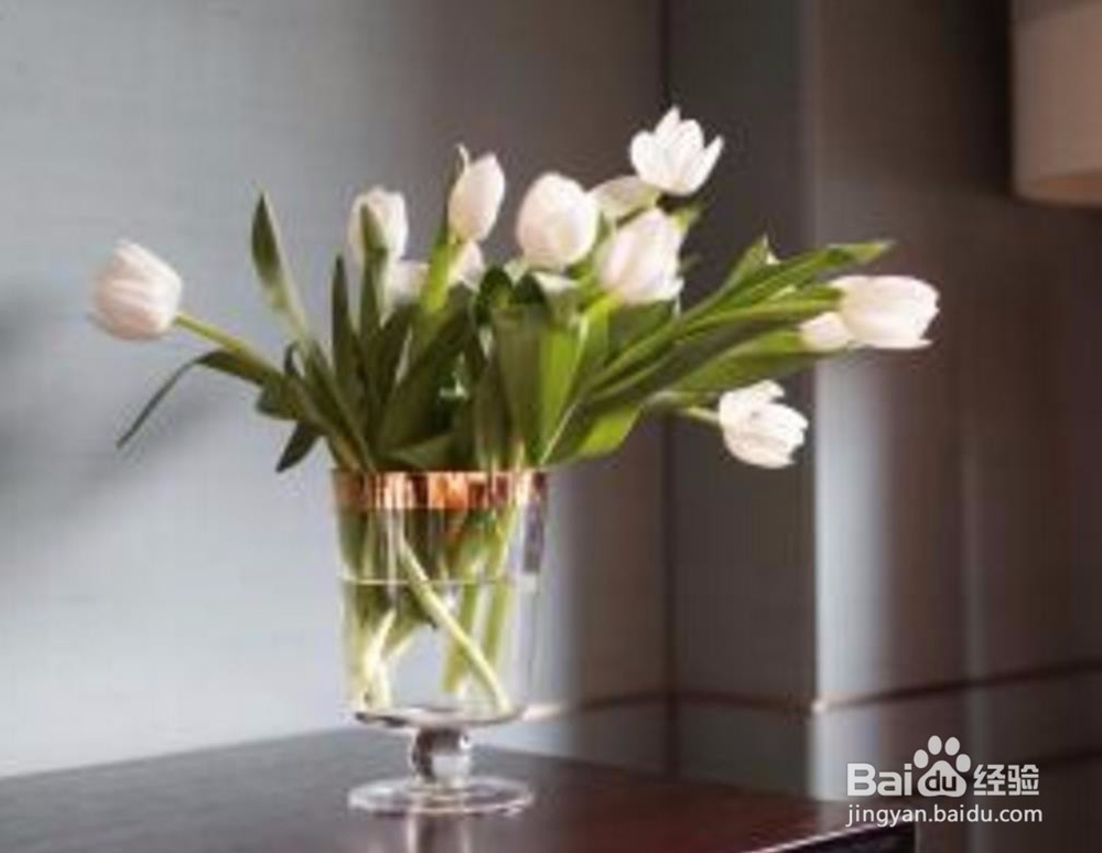 如何把自己的生活活出仪式感？